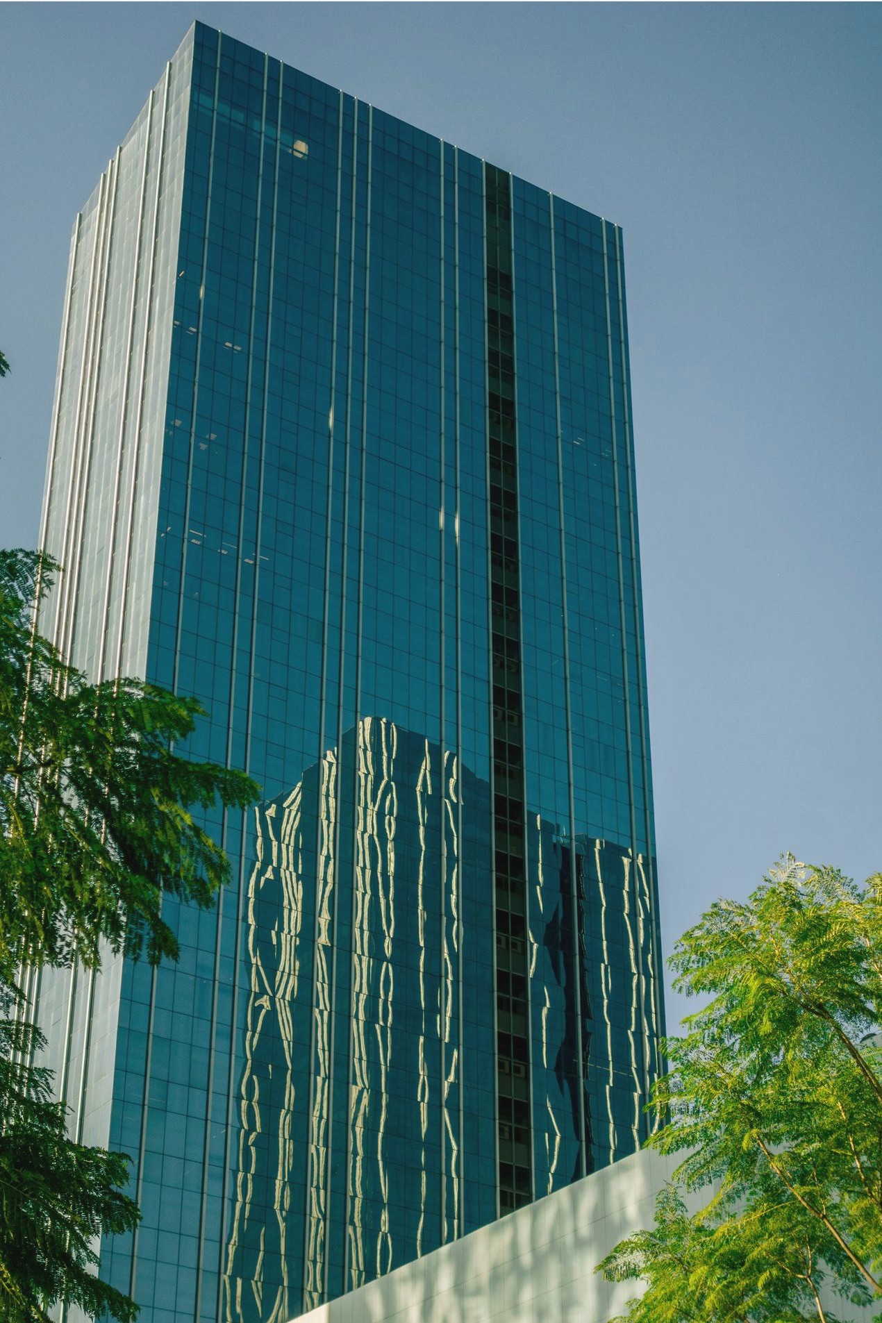 Gestión ágil